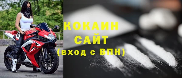 дживик Верхний Тагил