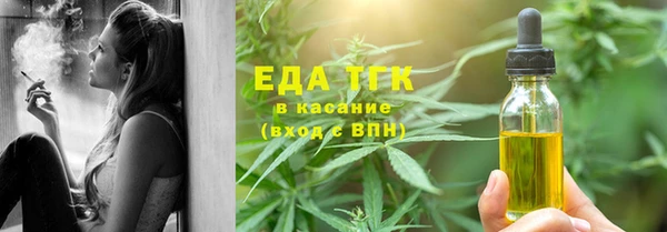 дживик Верхний Тагил