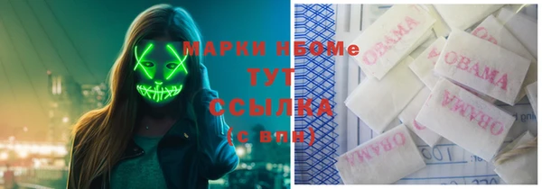 дживик Верхний Тагил