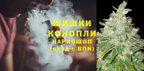 дживик Верхний Тагил