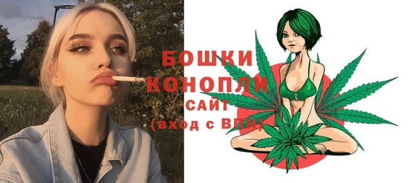 дживик Верхний Тагил