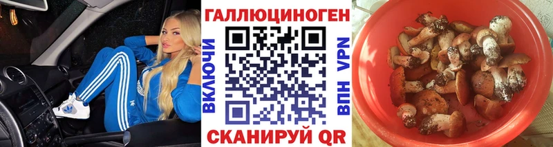 mega ссылка  Мурманск  Псилоцибиновые грибы MAGIC MUSHROOMS  где продают наркотики 